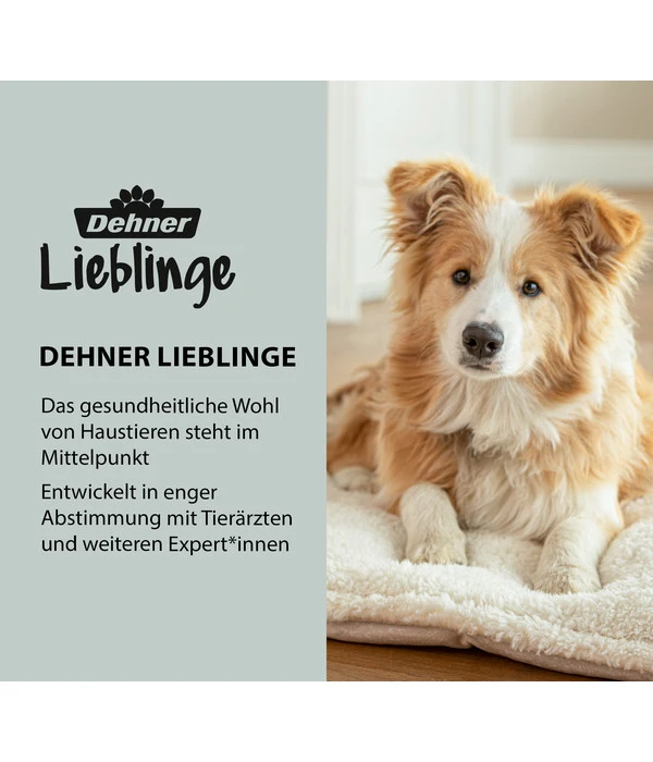 Dehner Lieblinge Kokolaurin Anti-Zecken-Spray Hund 4 Dehner Lieblinge Kokolaurin Anti-Zecken-Spray Hund – Bild 2