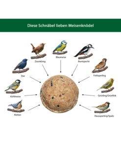 Dehner Natura Meisen-Knödel, Ohne Netz 13 Dehner Natura Meisen-Knödel, Ohne Netz -Gartenbedarf Angebote WE IG 001 DehnerNaturaWelcherVogelfrisstMeisenknoedel